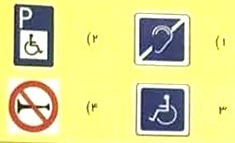 معنای رانندگی معلول